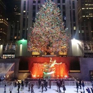 Meet your Posher, Lilliana